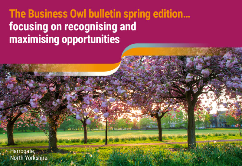 The Business Owl bulletin spring 2022 edition… Focusing on recognising and maximising opportunities