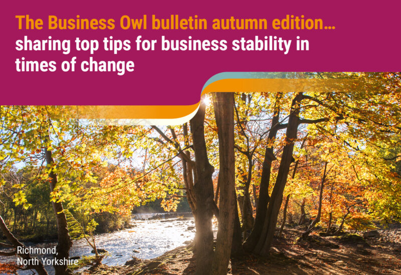 The Business Owl bulletin autumn 2022 edition… Sharing top tips for business stability in times of change