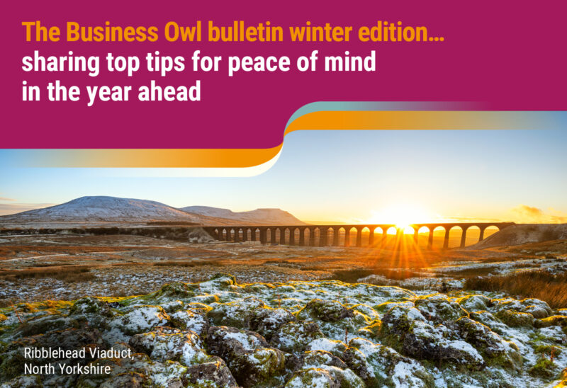 The Business Owl bulletin winter 2023 edition… Sharing top tips for peace of mind in the year ahead