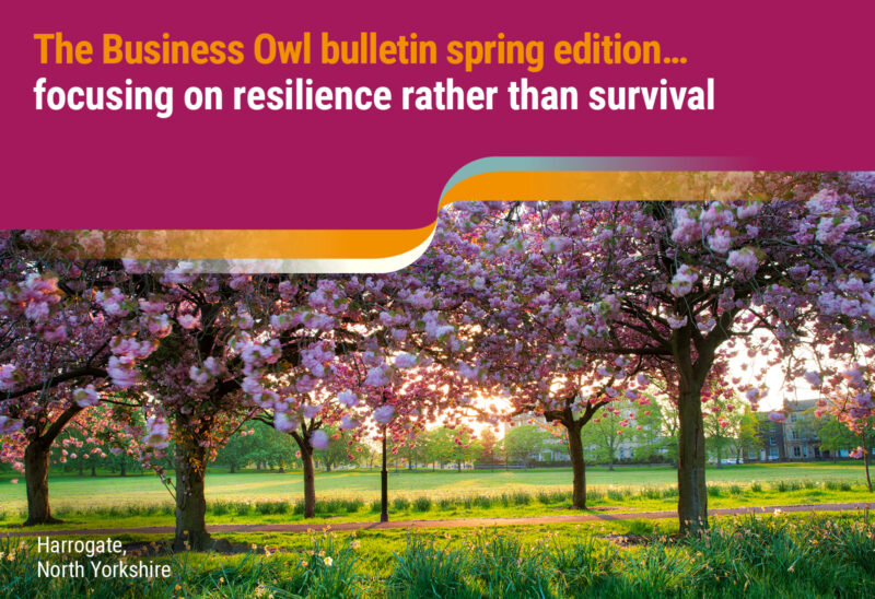 The Business Owl bulletin spring 2023 edition… Focusing on resilience rather than survival