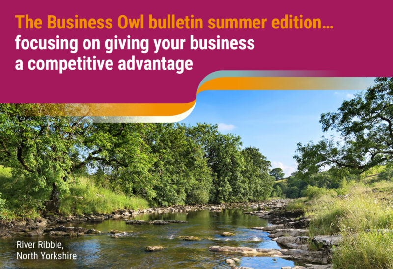 The Business Owl bulletin summer 2023 edition… Focusing on giving your business a competitive advantage