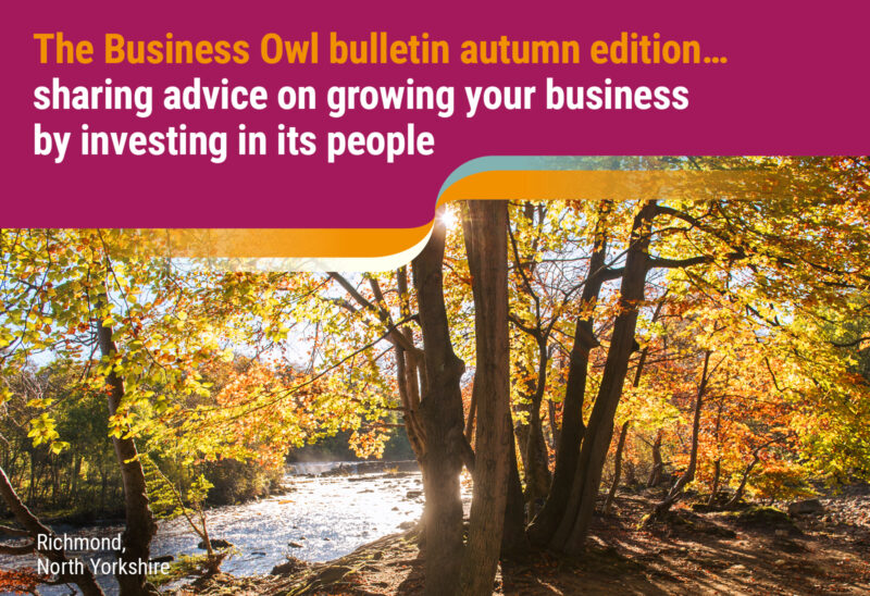 The Business Owl bulletin autumn 2023 edition… Sharing advice on growing your business by investing in its people