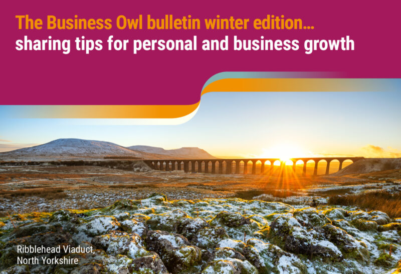 The Business Owl bulletin winter 2024 edition… Sharing tips for personal and business growth