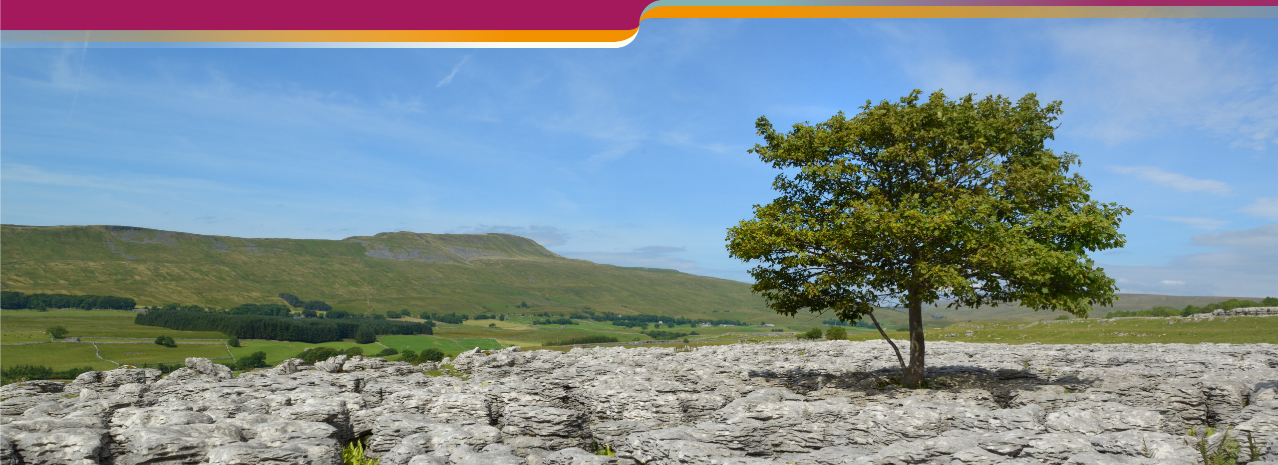 Yorkshire Dales National Park, North Yorkshire. Business Owl is proud to call the beautiful county of North Yorkshire home.