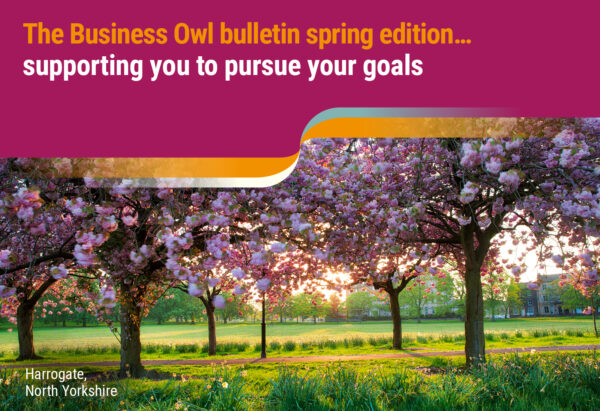 The Business Owl bulletin spring 2024 edition… Supporting you to pursue your goals