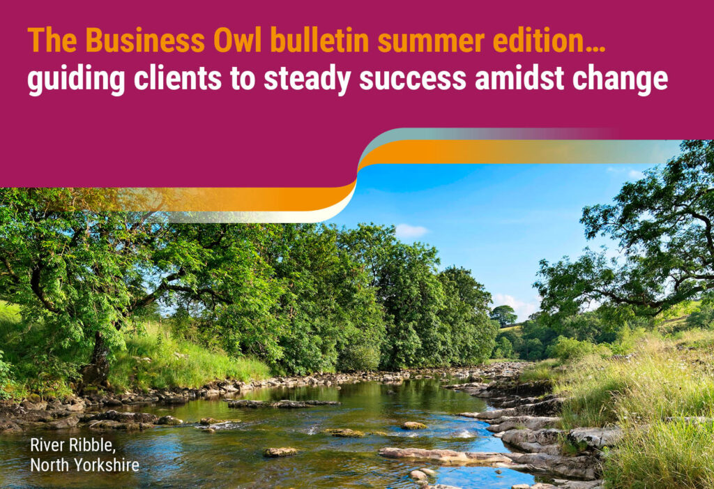 The Business Owl bulletin summer 2024 edition… Guiding clients to steady success amidst change