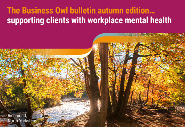 The Business Owl bulletin autumn 2023 edition… Sharing advice on growing your business by investing in its people