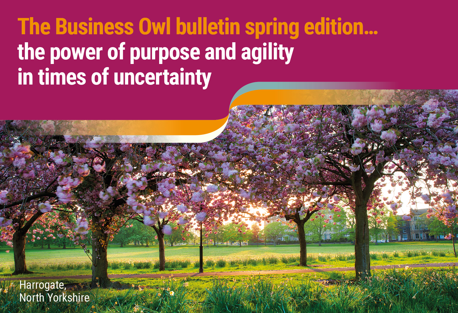 The Business Owl bulletin spring 2026 edition… Drawing on purpose and agility in times of uncertainty